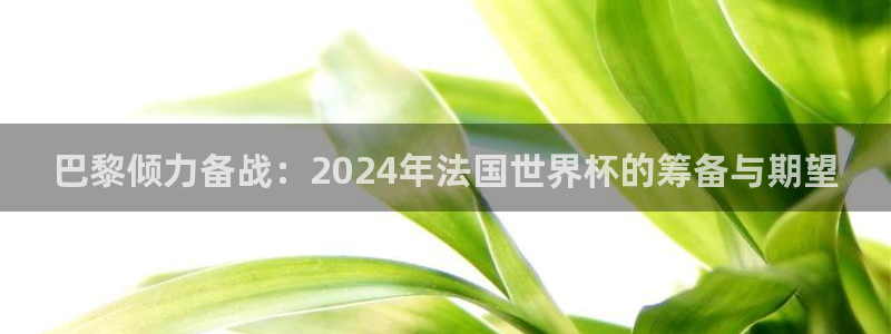 2026世预赛赛程：巴黎倾力备战：2024年法国世界杯的筹备与期望