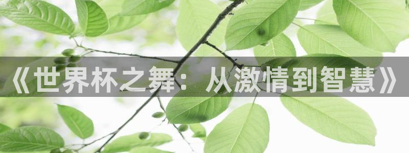亚洲杯比赛直播：《世界杯之舞：从激情到智慧》