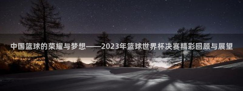 2026年男足世界杯：中国篮球的荣耀与梦想——2023年篮球世界杯决赛精彩回顾与展望