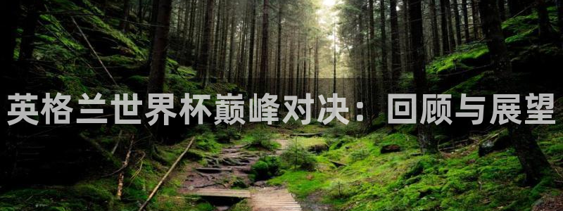 世界杯亚洲区预选赛积分榜：英格兰世界杯巅峰对决：回顾与展望