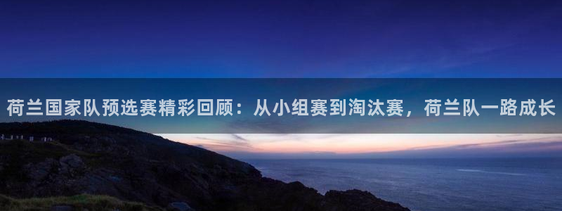 2026世界杯赛程：荷兰国家队预选赛精彩回顾：从小组赛到淘汰赛，荷兰队一路成长