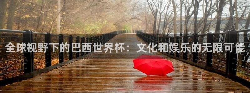 世界杯直播观看：全球视野下的巴西世界杯：文化和娱乐的无限可能