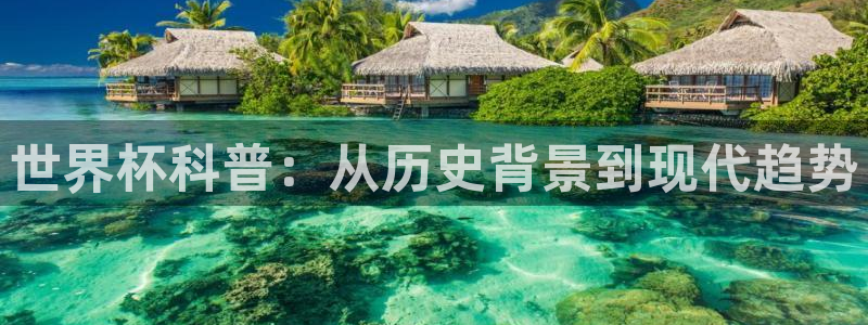 女足世界杯直播：世界杯科普：从历史背景到现代趋势