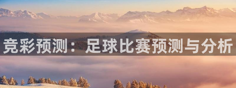 2006年世界杯冠军：竞彩预测：足球比赛预测与分析