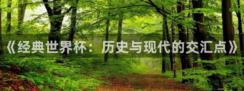 世界杯预选赛亚洲区赛程：《经典世界杯：历史与现代的交汇点》