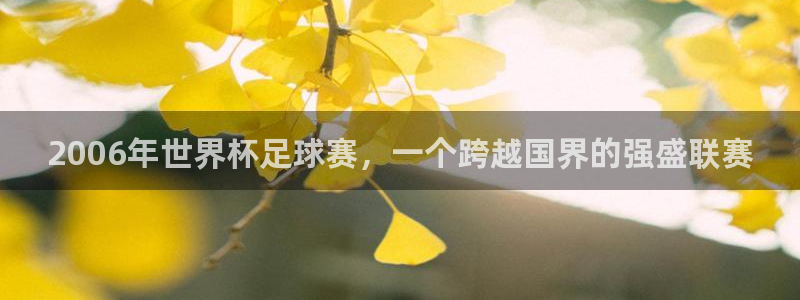 2026世界杯赛：2006年世界杯足球赛，一个跨越国界的强盛联赛