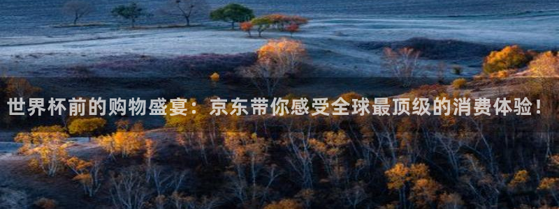 世界杯2026赛程表：世界杯前的购物盛宴：京东带你感受全球最顶级的消费体验！