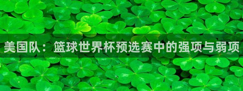 世界杯2026赛程：美国队：篮球世界杯预选赛中的强项与弱项