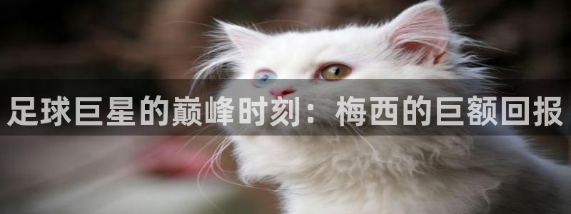 今年世界杯：足球巨星的巅峰时刻：梅西的巨额回报
